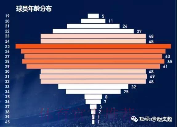 深度剖析世界杯数据分析平台
